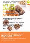 AtelierCuisineBoulesDEnergie_boules-d-energie.png