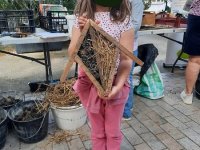 atelier hotêl à insectes, bombes à graines, fabrication motte pour graines