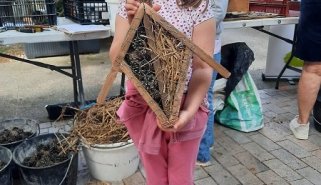 atelier hotêl à insectes, bombes à graines, fabrication motte pour graines