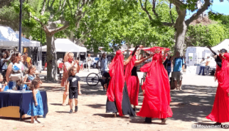 Les f&ecirc;tes de villages : des laboratoires de d&eacute;mocratie locale face &agrave; la fragmentation sociale