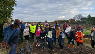 plantation d'arbres pour mise en place de haies 